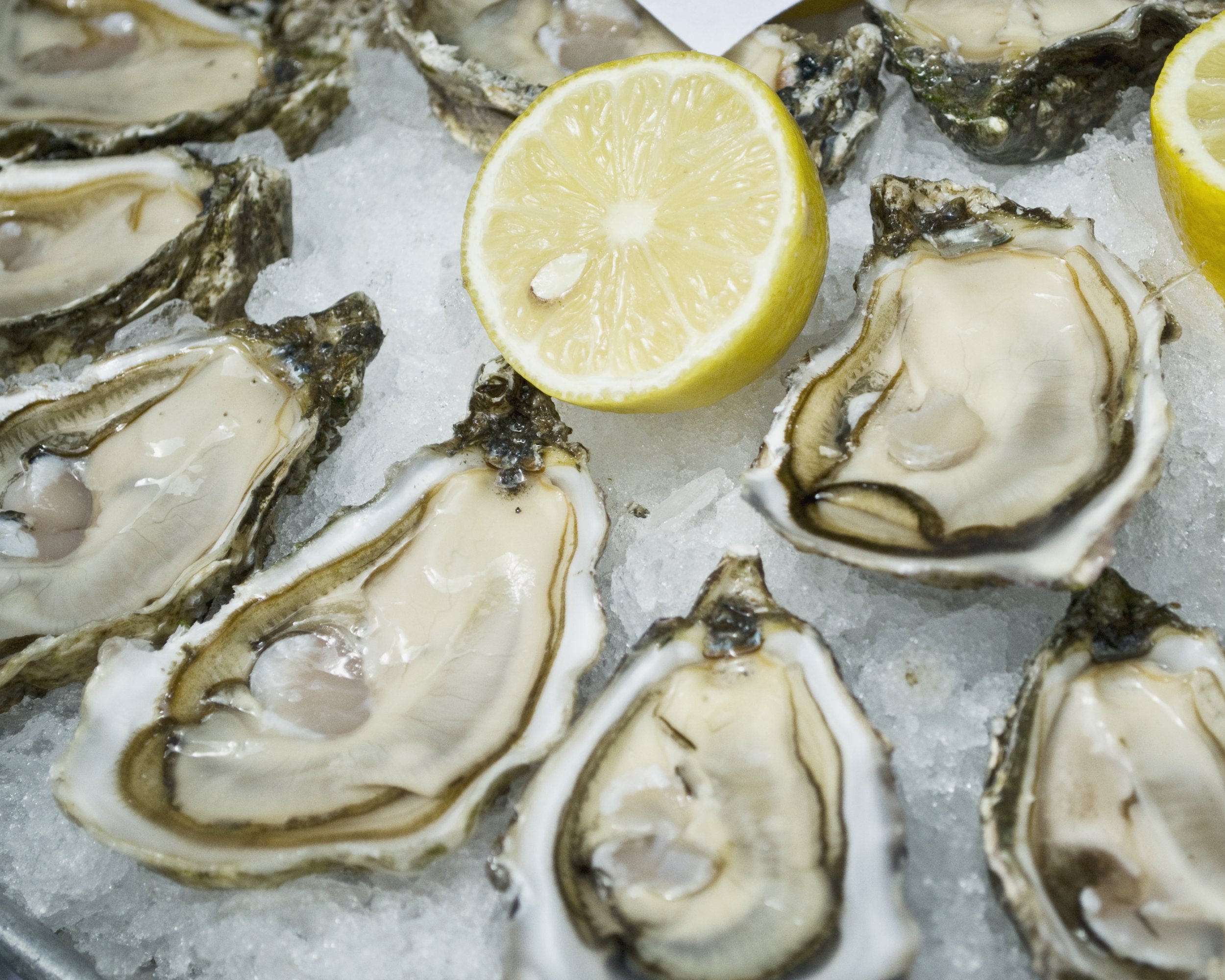 plate of raw oysters and lemon