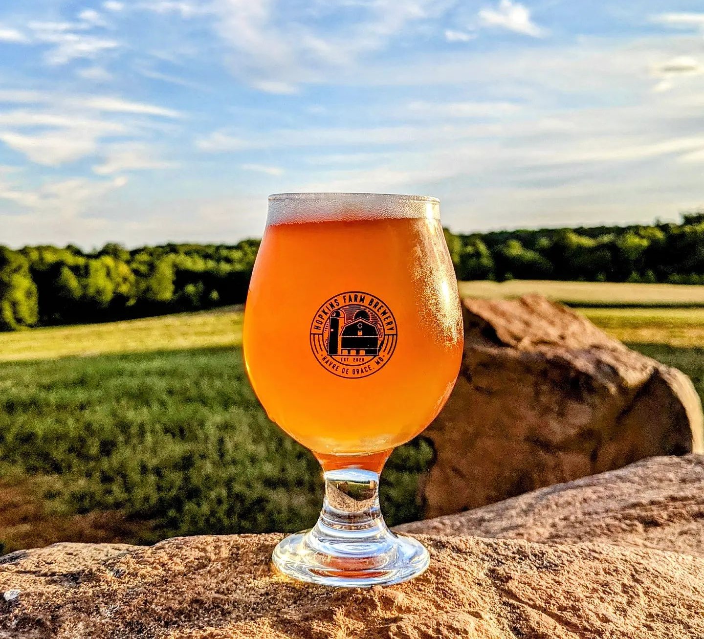 a glass of beer sitting on a rock overlooking the farm