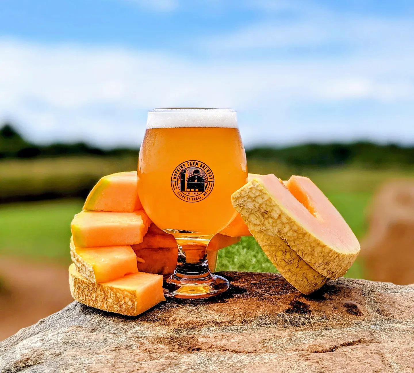 a glass of Summer Lopin' Cantaloupe Saison with slices of cantaloupe around it