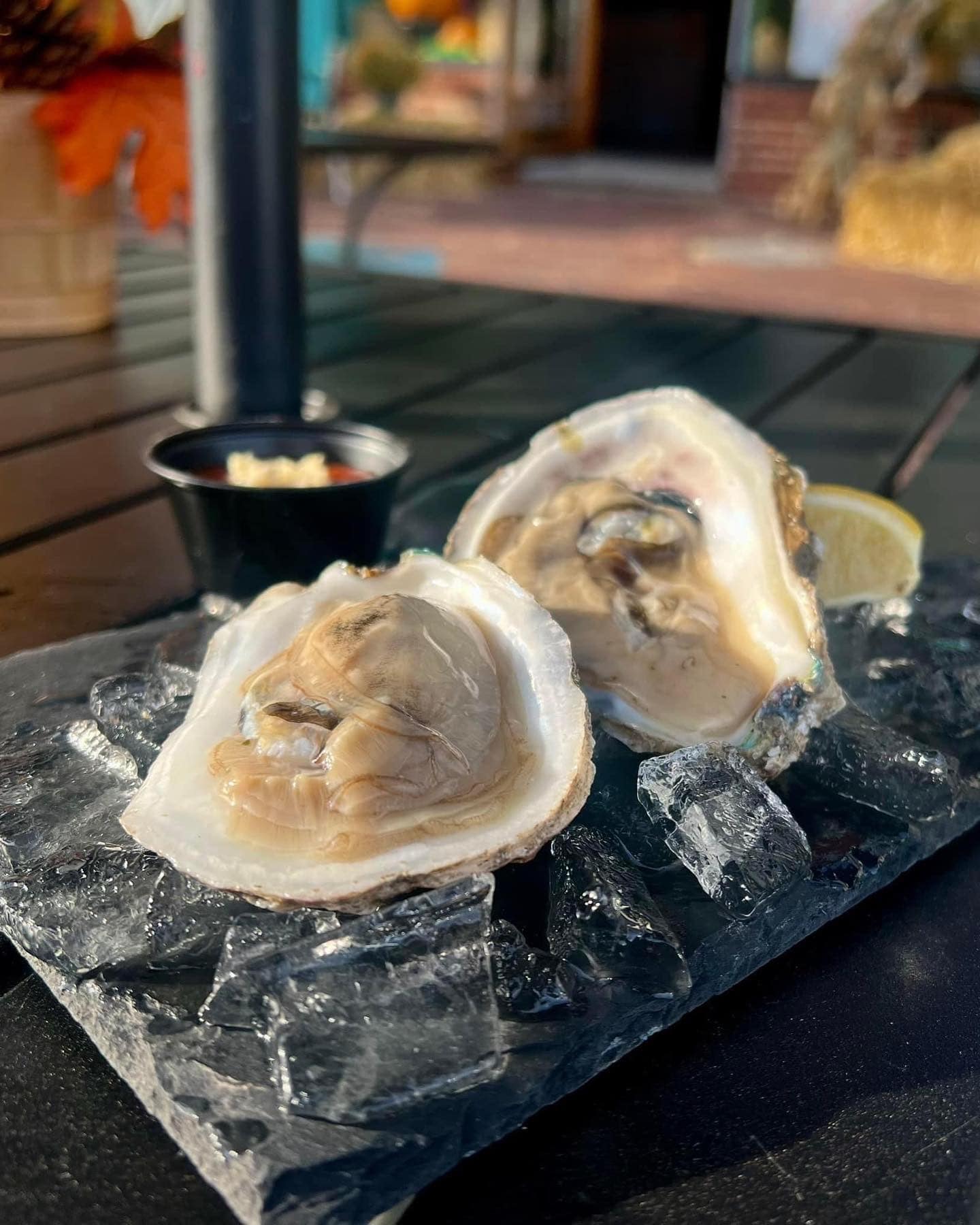a plate of oysters on ice